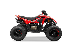 CFMOTO CForce 110